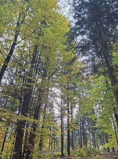 Foto von Maria Magnes entlang der Tour
