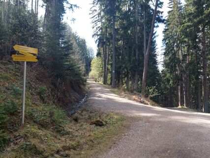 Foto de Walter Jenewein a lo largo del recorrido