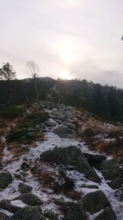 Zemljevid