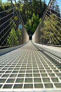 Hängebrücke am Alpinsteig Höll