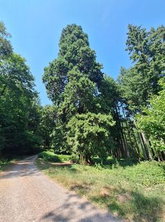 Photo de Katharina le long du parcours