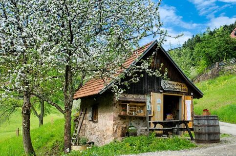 Brennhisli im Ernsbach