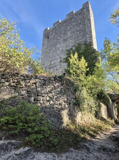 Photo de Helga Hillebrand le long du parcours