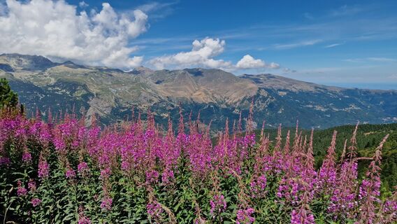 Foto von Fabrizi Mellano entlang der Tour