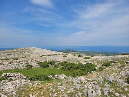 Foto från Juliane Jarke under resans gång