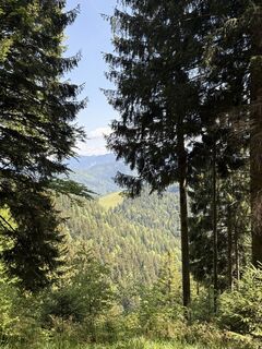 Foto von Vitalii Vdovin entlang der Tour