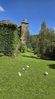 Foto von Edit Szoboszlay entlang der Tour