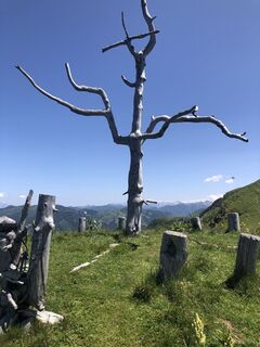 Foto von Johannes Petschk entlang der Tour