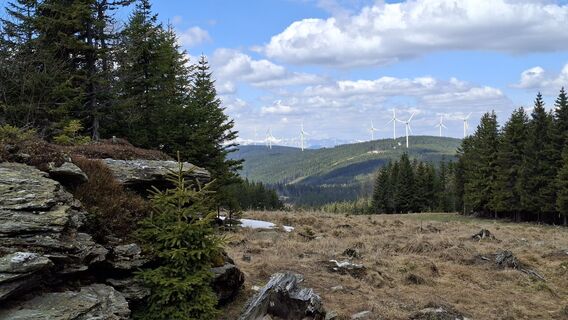 Fotografija s spletne strani args na poti