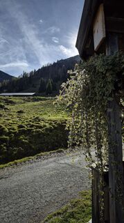 Foto von Norbert Schönert entlang der Tour