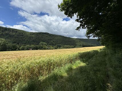 Ausblick