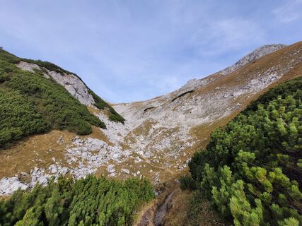 Fotografia z schenkeli na trase
