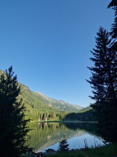 Fotografija s spletne strani Michael Forstner na poti