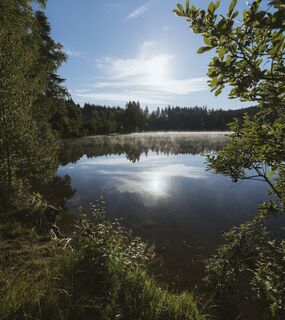 Windgfällweiher am Morgen