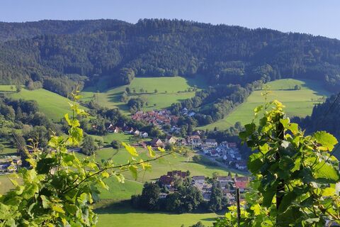 Blick vom Eichberg ins Ohrensbach IMG 20210901 175805 3 2 aw