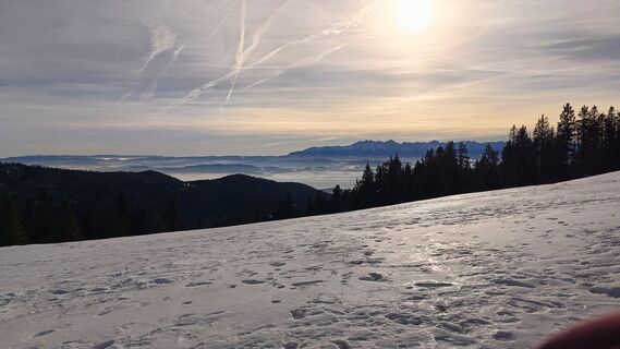 Fotografia z Romek Dwornik na trase