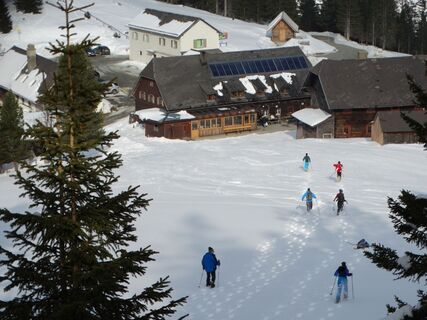 Schneeschuhwandern auf den Speikkogel