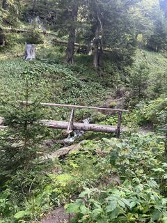 Foto från Karl Heinz Fick under resans gång