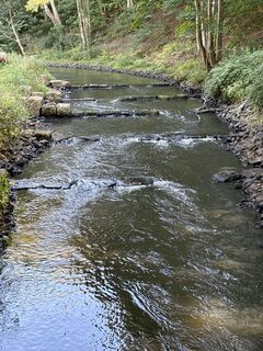 Foto fra Ilona Schuster underveis på turen