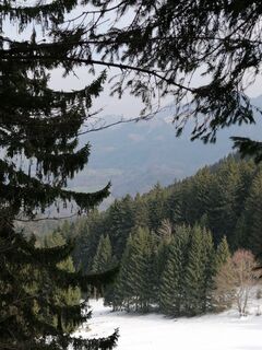 Fotografija s spletne strani Derschowieder na poti