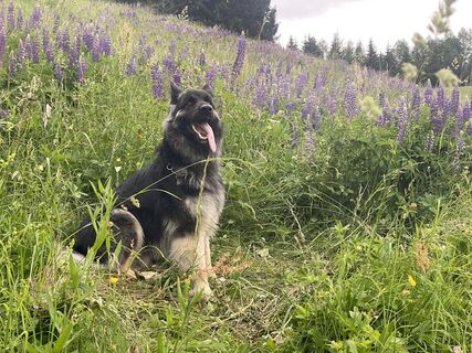 Fotó a Freund der Berge honlapról a túra során