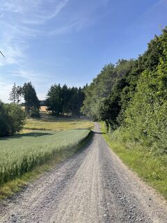 Foto de Csenger Reichardt a lo largo del recorrido