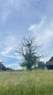 Foto von Rina entlang der Tour