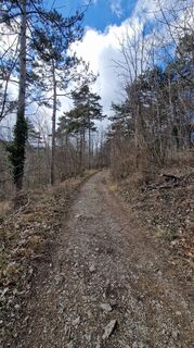 Фото с сайта EP87 во время экскурсии