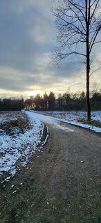 Photo de Angie Rickert le long du parcours