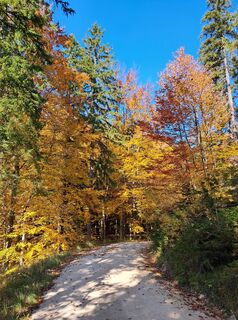 Photo de Wanderschuh le long du parcours