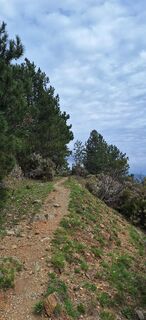 Foto de uto a lo largo del recorrido