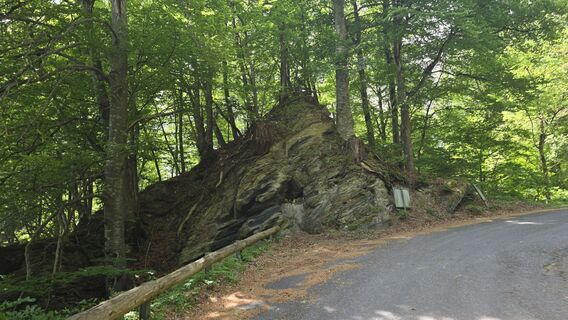 Photo de Bike Rider le long du parcours