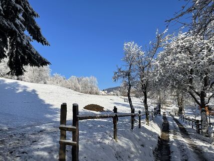 Foto von Stefan Chalupa entlang der Tour