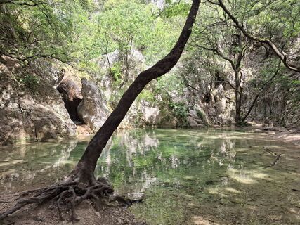 Fotografija s spletne strani nordbergschnecke na poti