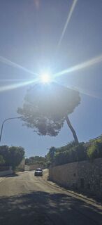 Foto de Ernst Botzler a lo largo del recorrido