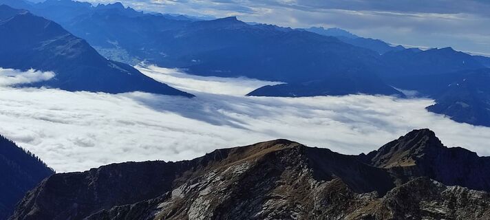Fotografija s spletne strani Ineswanki na poti