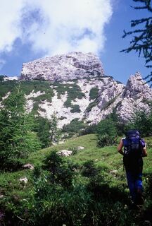 Aufstieg im Cadin di Elbel. Oben die kuppelförmige Gipfelkuppe des Monte Hoberdeirer
