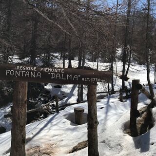 Fontana Dalma