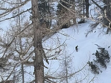 Fotografie z Johannes Lämmerer na trase