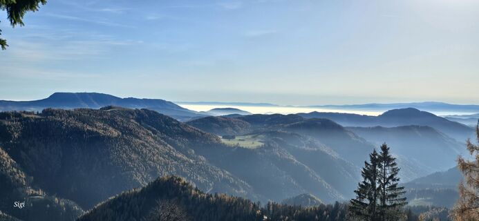 Foto från Siegfried Sauseng under resans gång