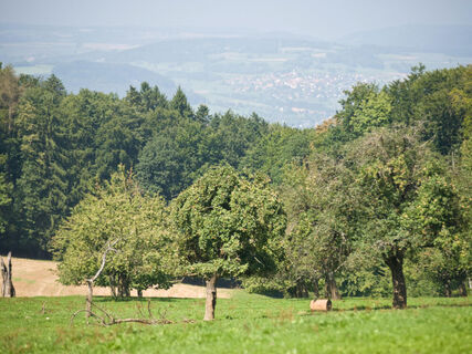 achenberg-aussicht
