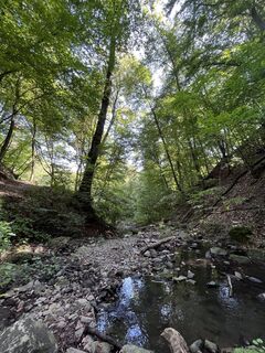 Fotografija s spletne strani Reka Ferenczy na poti