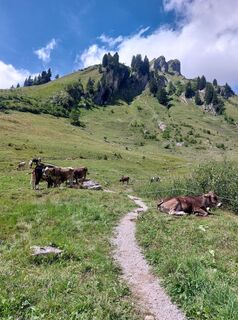 Foto von N Bruehne entlang der Tour