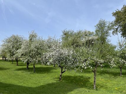 Foto von Regina Zenz entlang der Tour