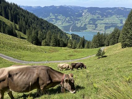 Fotografia z Christina Zurbrügg na trase