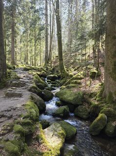 Photo de Michel Kennel le long du parcours