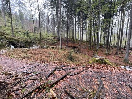 Foto de Tobias Heller a lo largo del recorrido
