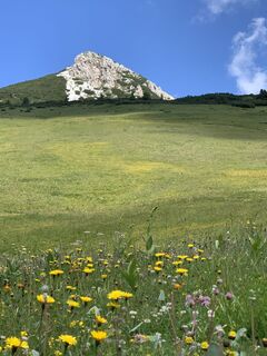 Fotografia z Tizz Canins na trase