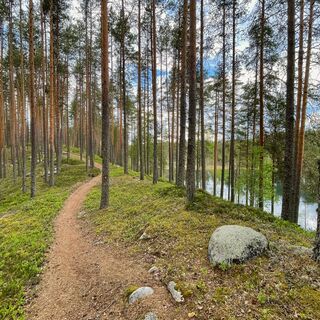 Landschaft mit Hügeln auf der Pogosta-Route