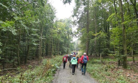 Gruppe Waldweg 2024 - CC BY-SA LTM.JPG